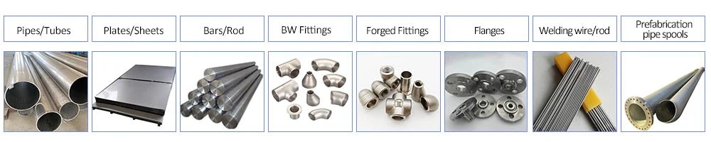 Hastelloy B3 Tube Sheet Fittings Flanges Hastelloy B3 Tube Sheet Fittings Flanges